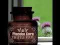 Placebo%20Cure%20-%20Until%20Tomorrow