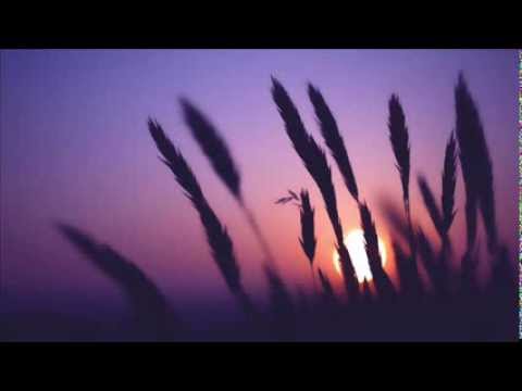 DigitalMode & Zuri - Midnite Flow (Original Mix)