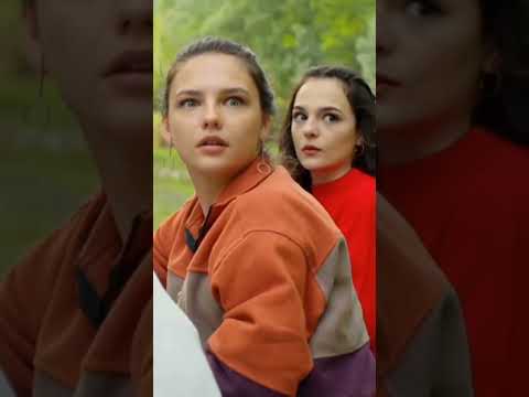 Lo más viral #tontintin #venezuela #shazam #caraudio #musicologos #chipeo #iloveyou