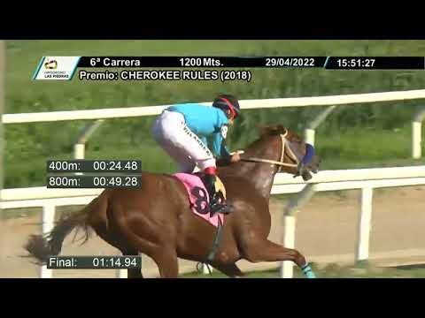 220429 c06  - TRACKS PLATUDA  - HIPODROMO LAS PIEDRAS