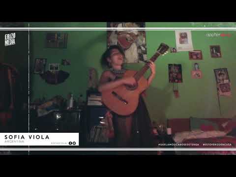 Sofía Viola - Pancho en Constitución (Erizo en Casa)