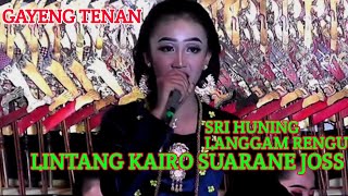 Download lagu SRI HUNING LANGGAM RENGU LINTANG KAIRO VOICE JOS mp3 Download lagu SRI HUNING LANGGAM RENGU LINTANG KAIRO VOICE JOS mp3
