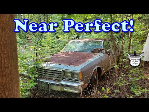 FIRST START & DRIVE after 19 YEARS? Near Perfect 1982 Chevrolet Classic Caprice.. Road Worthy?