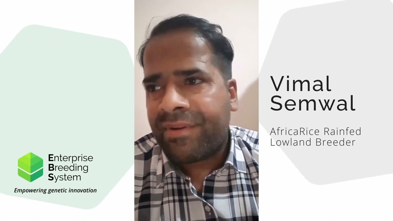 EBS Testimonials - AfricaRice