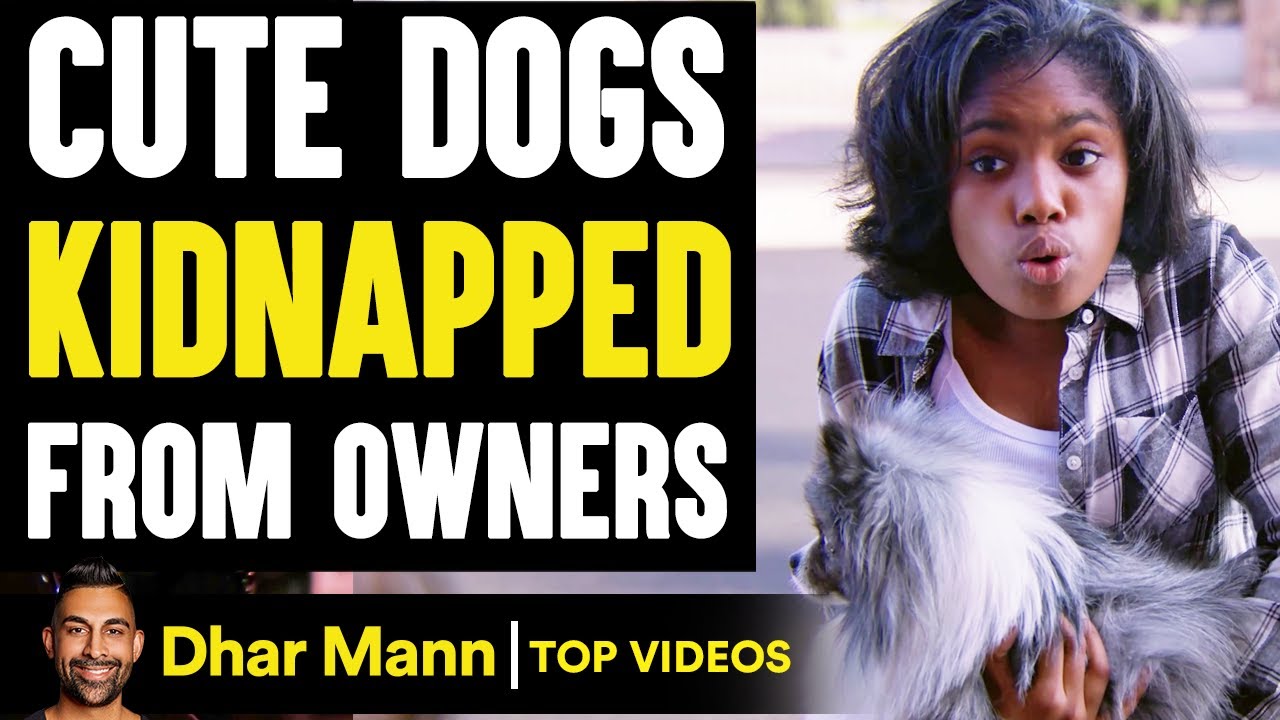 Cute DOGS KIDNAPPED From Owners, What Happens Is Shocking | Dhar Mann