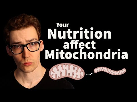 Fasting and Overeating - How you Change your Mitochondria. [Study 32]