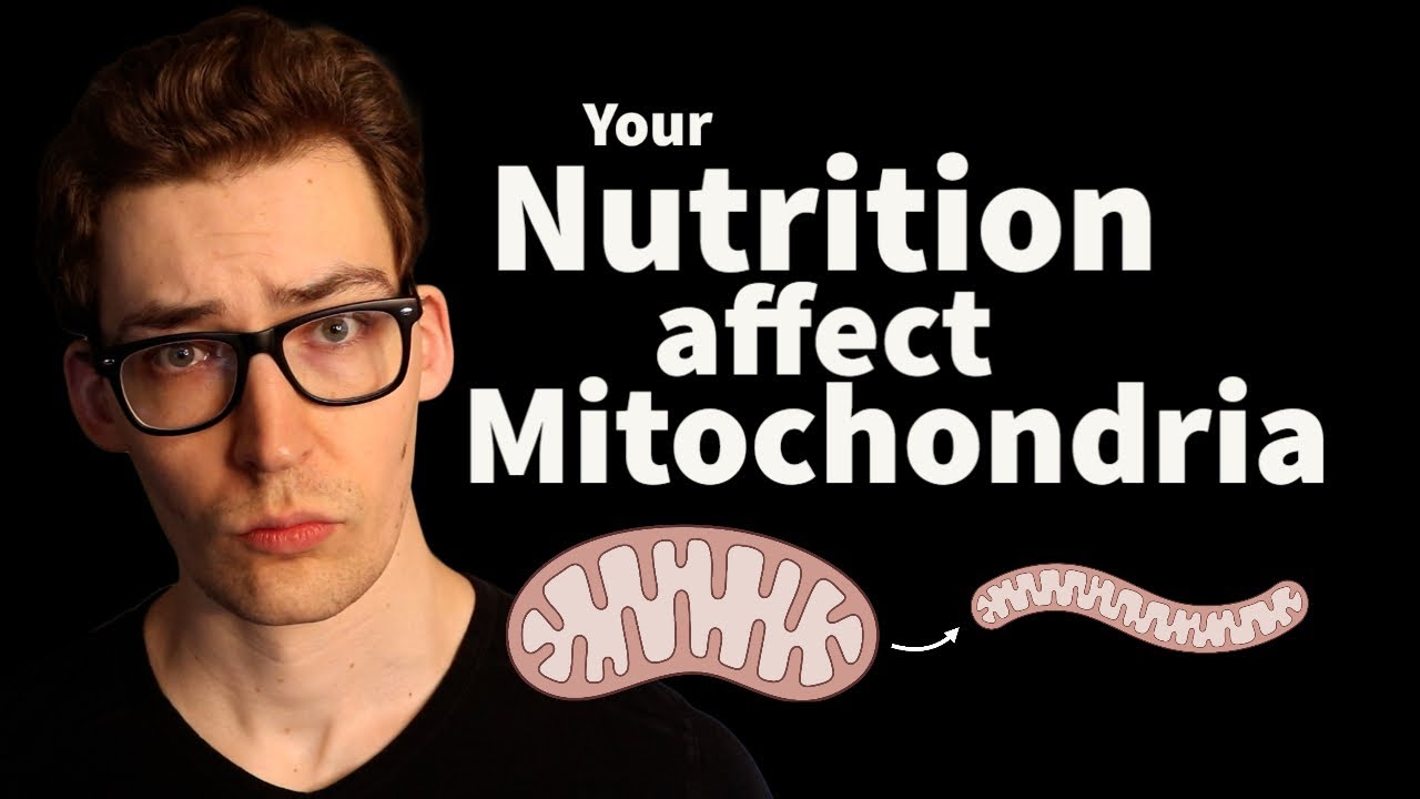 Fasting and Overeating - How you Change your Mitochondria. [Study 32]