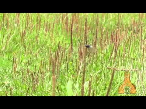 Bairro San José Pinula