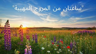 ساعتان من المروج المهيبة – فيديو مهدئ لمرضى الزهايمر والخرف ومقدمي الرعاية