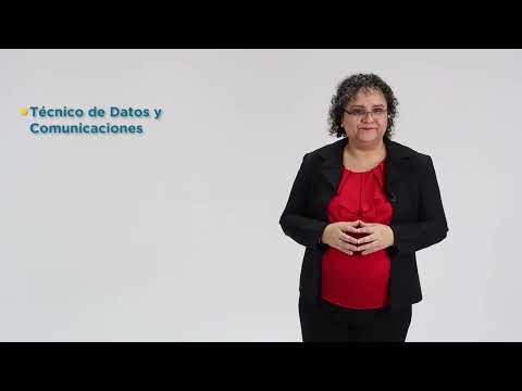 Técnico en Sistemas de Computación