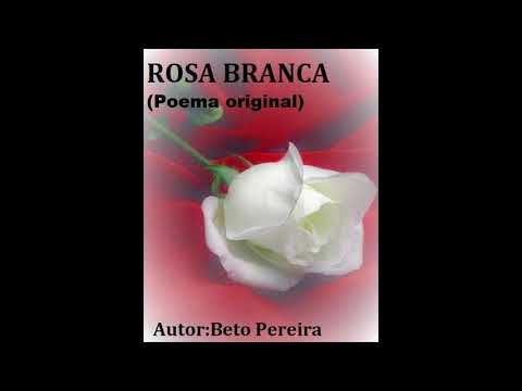 BETO PEREIRA - ROSA BRANCA (original recording)