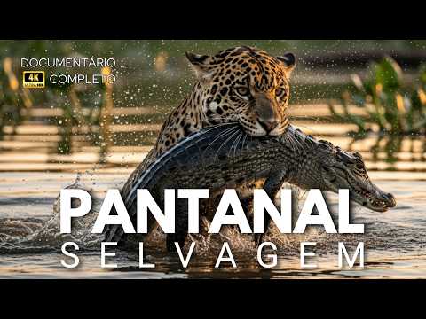 Pantanal: Segredos do Império Selvagem da América do Sul