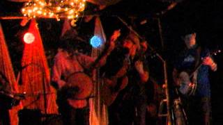 Manatawny Creek Ramblers at the Moonlight Forest, 