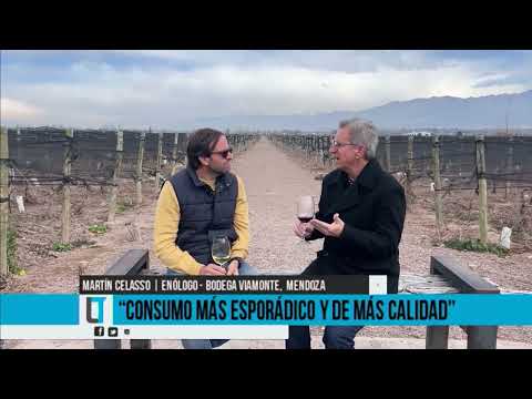 El sector necesita previsibilidad / Martín Celasso, Enólogo - Bodega Viamonte, Mendoza