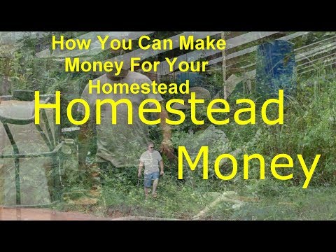 Homestead Money! How to make Money with your Homestead