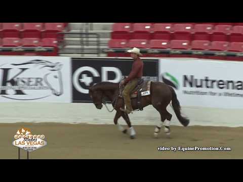 WR Hotshot ridden by Cayley R. Wilson  - 2019 NRCHA Stallion Stakes (Open Hackamore)