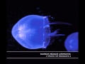 Carbon Based Lifeforms - World Of Sleepers ...