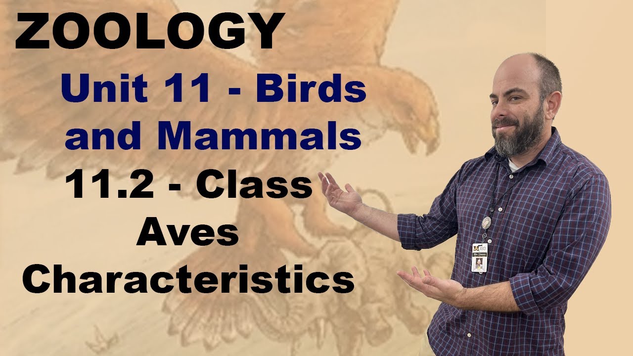 Zoology Unit 11:  11.2 - Class Aves