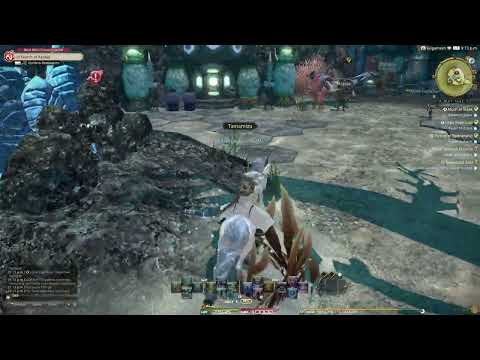 FFXIV: Leveling Astrologian to 63 via daily quests.