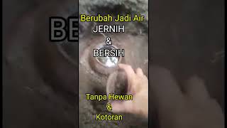 Download lagu Shocking! 😱 Ari-Ari & Tali Pusar Bayi Digali Setelah 2 Tahun | Viral Story #Shorts #viral mp3