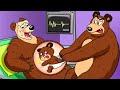 Female Bear Is Pregnant BUT WHO Is BABY Bear S Life Story Bear Funny Animation