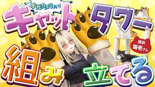 【手元カメラ】猫壱さんから頂いたキャットタワー組み立てる虎【虎金妃笑虎／猫壱】#PR