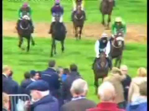 Lot 37 Ballycrystal, Cheltenham November Sale 2015