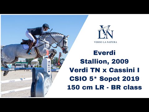 Everdi - CSIO 5* Sopot 2019 - BR LR 150 cm