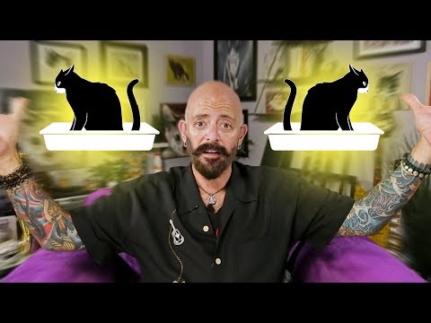 My Cat Pees Everywhere in the House | Litter Box 101