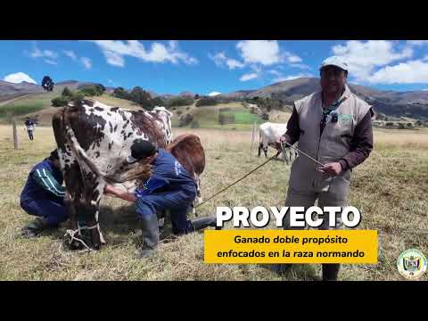 La Libertad: Una Alternativa Para El Cambio, Educando Para El Campo | Tutazá, Boyacá
