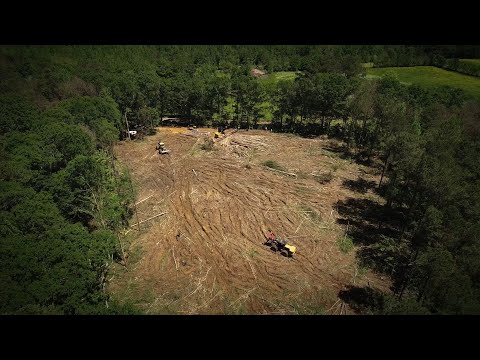Join us as we visit Eddie Harrison, owner of Eddie, Inc., a family-owned logging operation based in Scott, Mississippi, that has been thriving since 1991. Hear from Eddie himself about how the Cat® FM528 has improved efficiency and kept his family operation running smoothly.