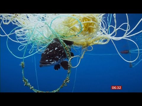 Plastic pollution & Sir David Attenborough (Global) - BBC News - 19th November 2019