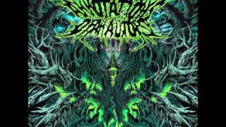 annotations of an autopsy - deities (with lyrics)