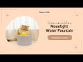 Moonlight Ceramic Pet Water Fountain Installation Instruction