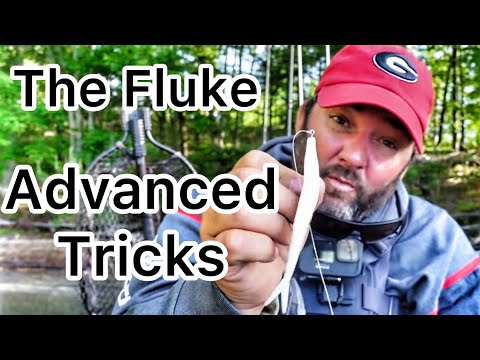 How to Fish a Fluke - You May Not Know Some of These Tricks - Bass Fishing