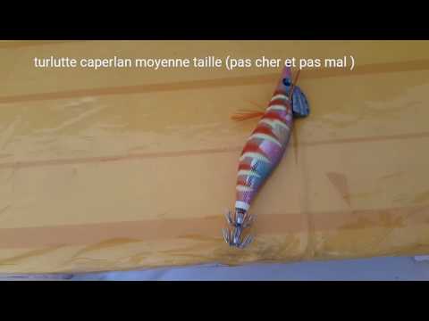 Les meilleures turluttes (seiche calamar )