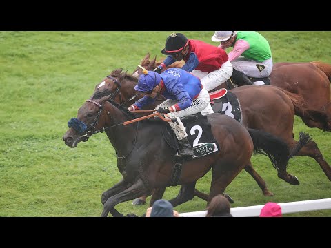 Hamburg-Horn: WETTSTAR Grosser Hansa-Preis 2023 Sieger: Assistent