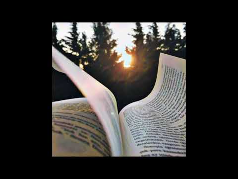 CrocoDILL WTL feat. PerPan - Następny Rozdział.