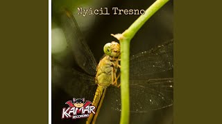 Download lagu Nyicil Roso mp3