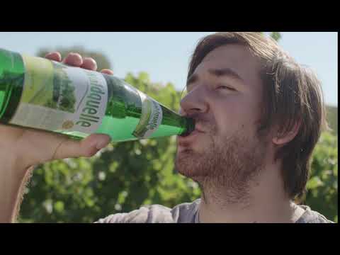 WALDQUELLE Neue Frucht-Sorten Still / Weinbauer 12