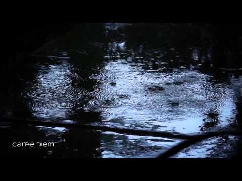 Cavatina ( Theme from Deer Hunter ) With Nature Sounds - Marc Teicholz