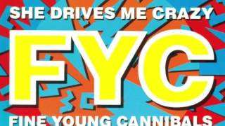 Fine Young Cannibals - She Drives Me Crazy (HD)
