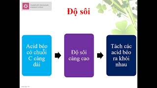 4 LIPID