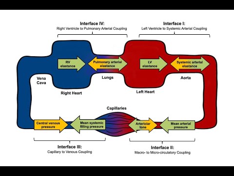 Jan 2025 HCP Rounds: Shock Interfaces with Dr. Rola