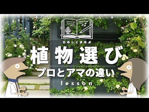 植物を健康に保つための庭でのバナナの皮の 5 つの使い方  庭園