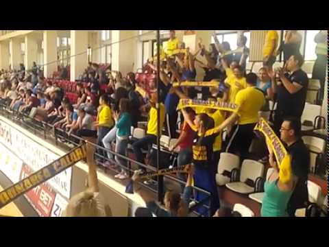 HCM CONSTANTA-AHC DUNAREA CALARASI,GALERIA DUNAREA