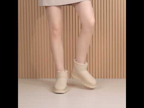 YouTube動画