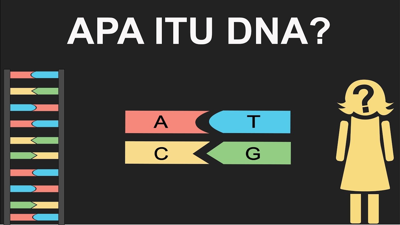 Apa Itu DNA -- The Blueprint of Life