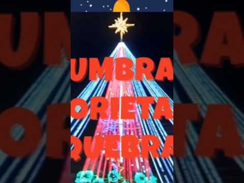 ALUMBRADO GLORIETA DE DOSQUEBRADAS RISARALDA #youtube #youtubeshorts #navidad #navidad2025
