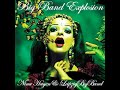 NINA HAGEN 2003 "Fever" BIG BAND EXPLOSION
